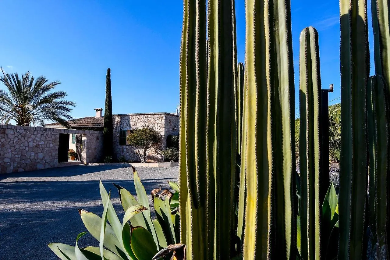 Moderne Finca Can Vicento - Heizung - Pizzaofen Porto Cristo Apartment